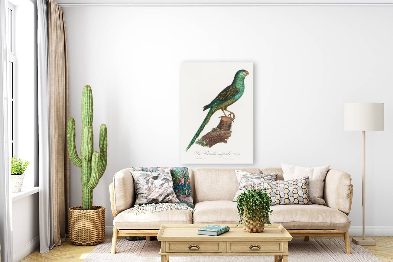 Ingambe parakeet  Reproduction