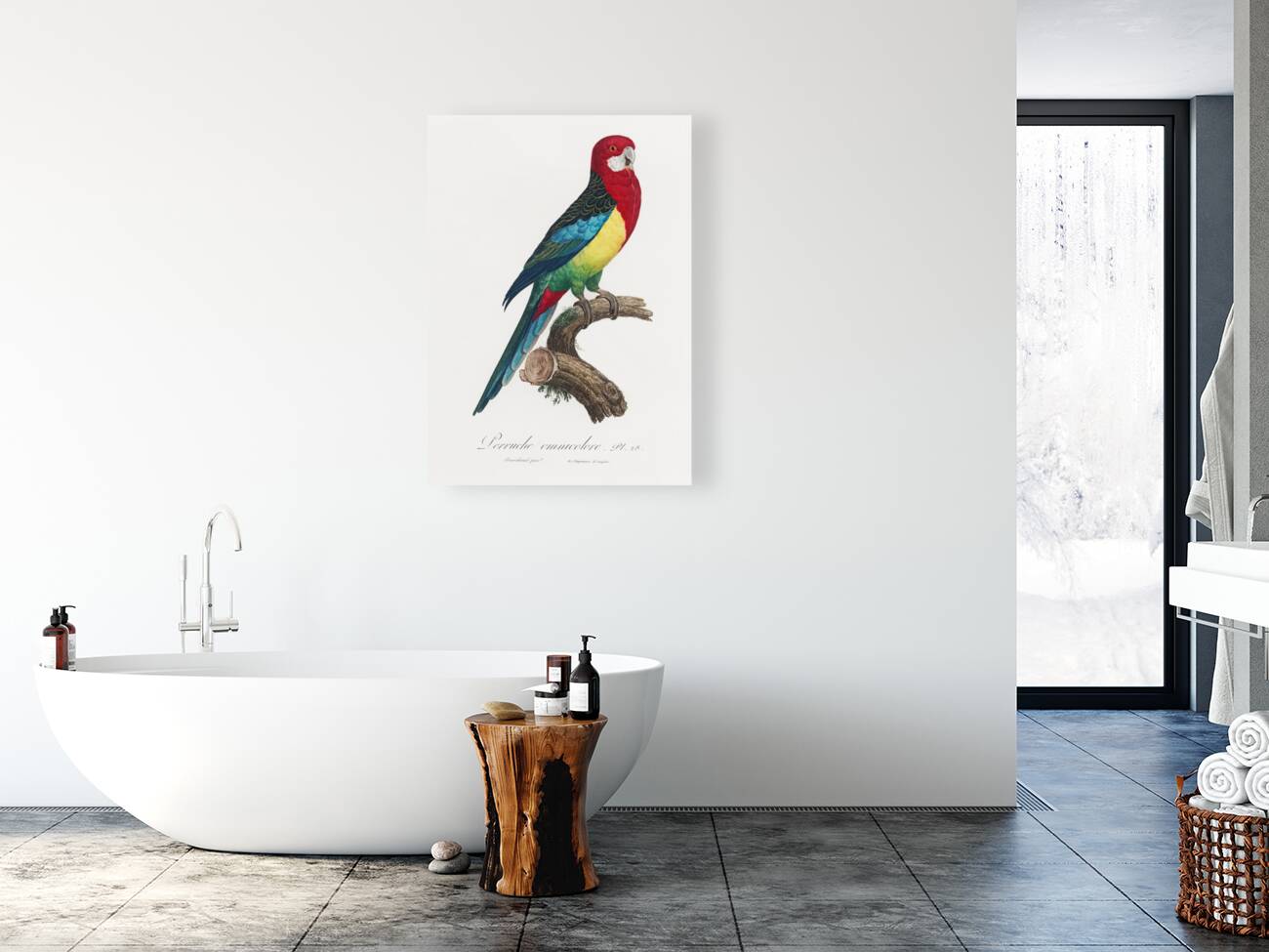 Eastern rosella  Reproduction