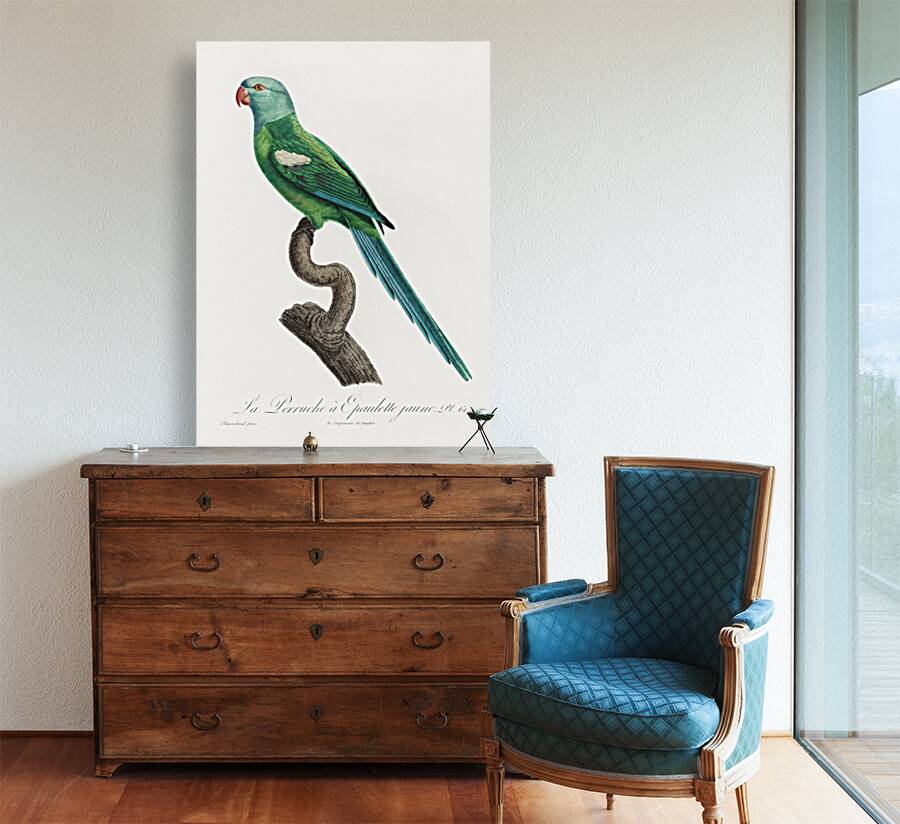 Yellow-shouldered parrot  Reproduction