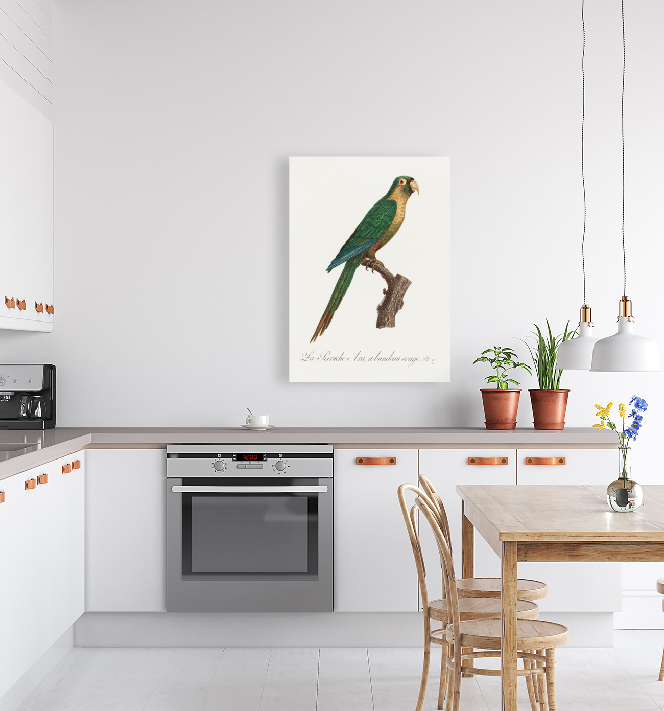 Musk lorikeet  Reproduction
