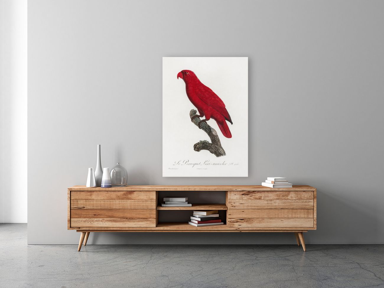 Cardinal lory  Reproduction