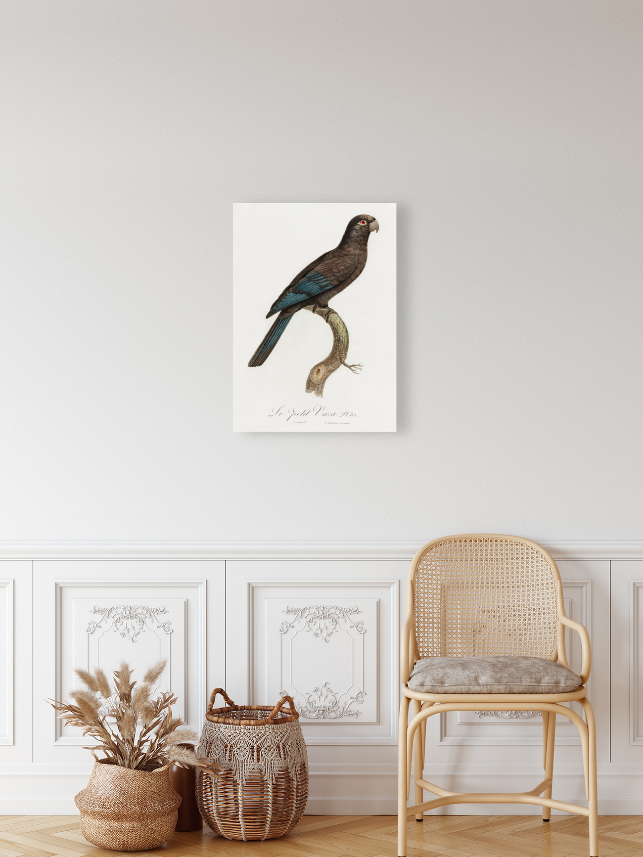 Lesser vasa parrot  Reproduction
