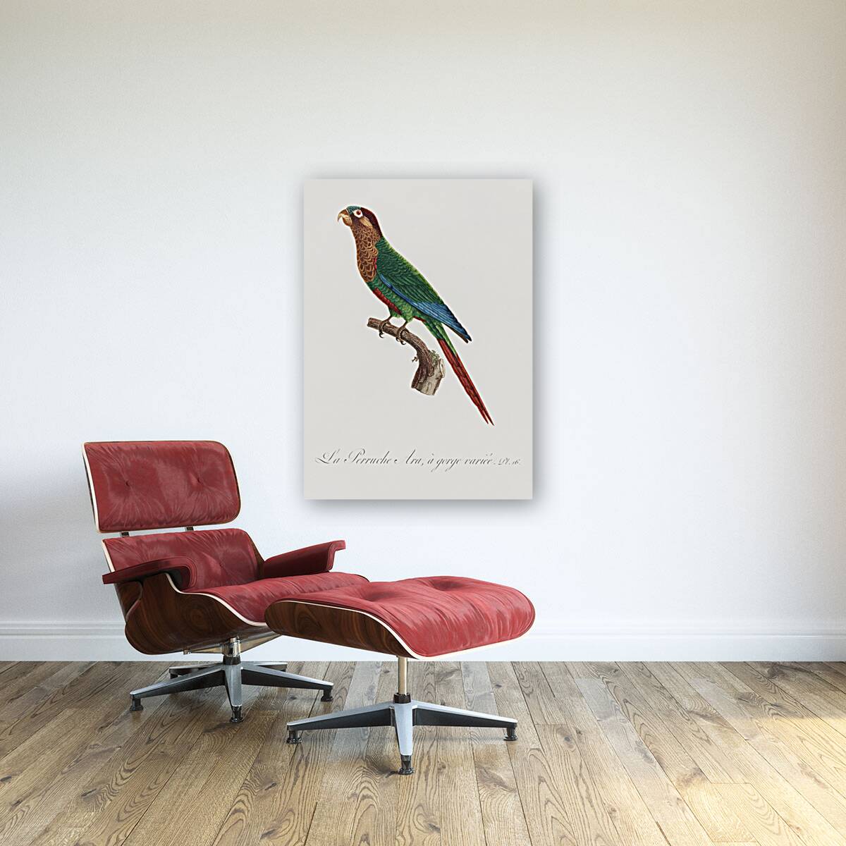 Wave-breasted parakeet  Reproduction