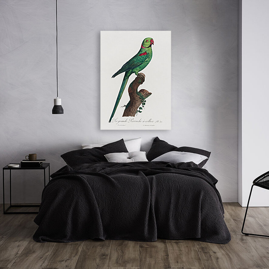 Ring-necked parakeet  Reproduction