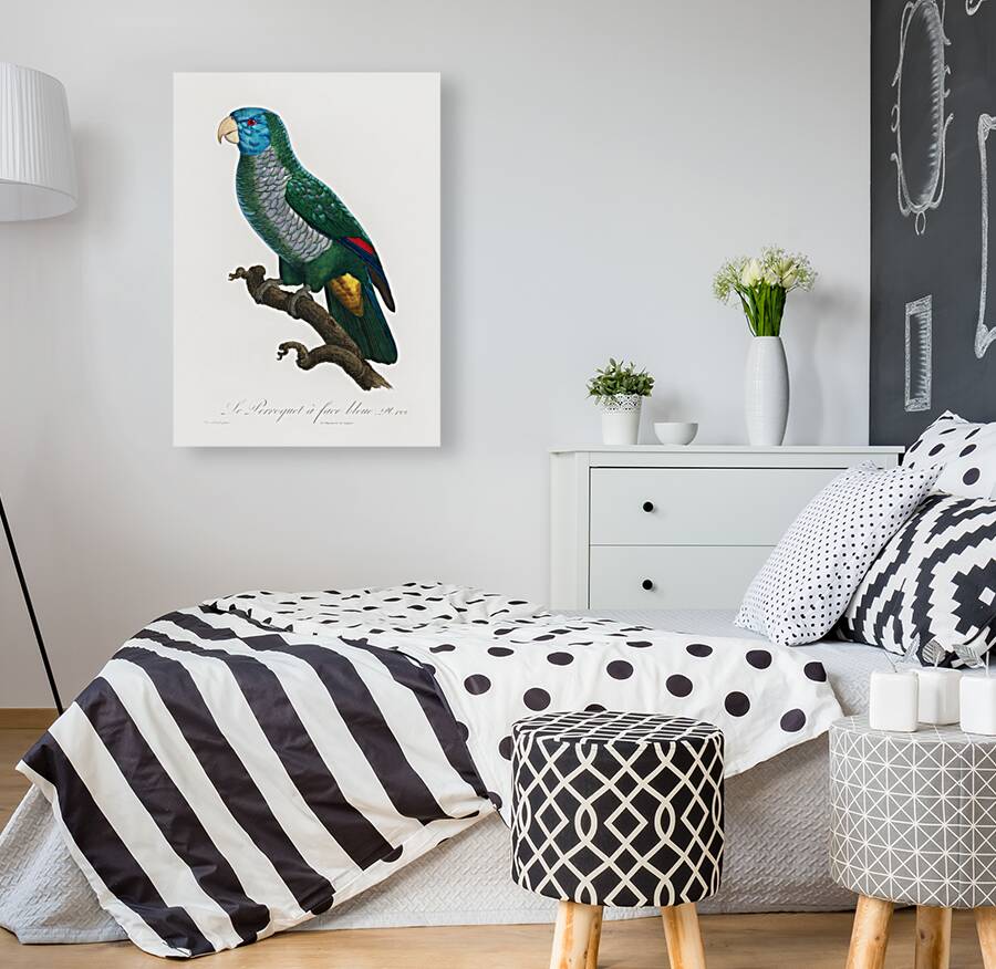 Eclectus parrot  Reproduction