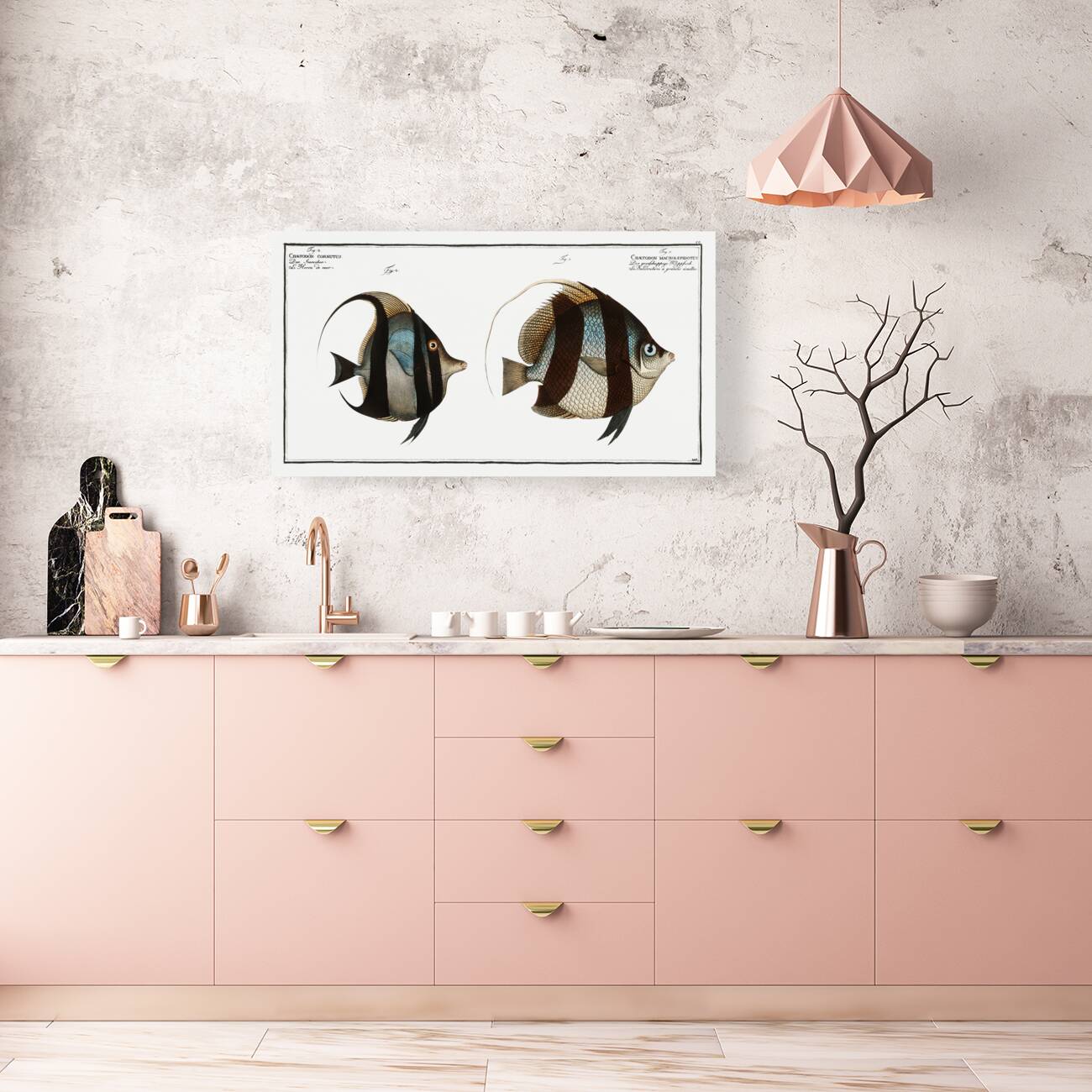 1. Chaetodon macrolepidotus 2. Chaetodon cornutus Reproduction