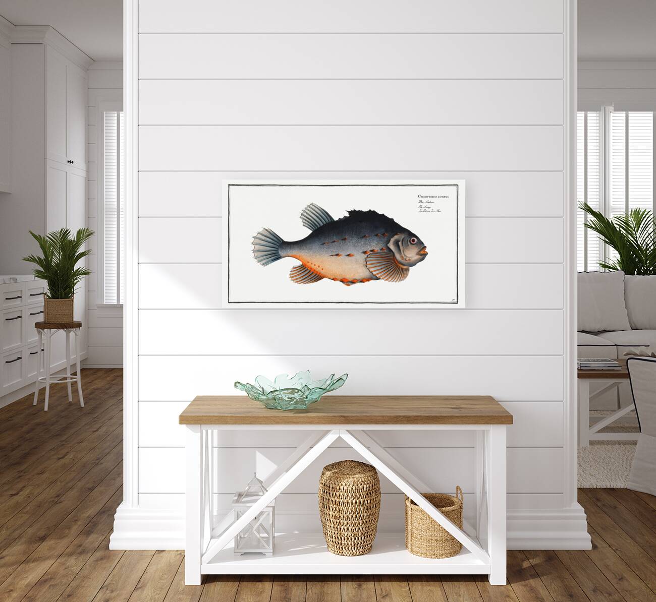 Lump Cycloterus lumpus Reproduction