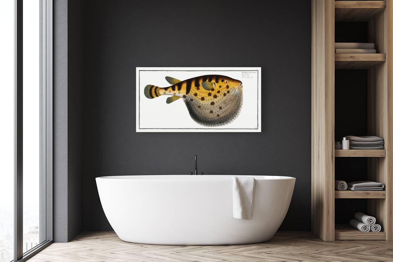 Starry Globe-fish Tetrodon Lagocephalus Reproduction