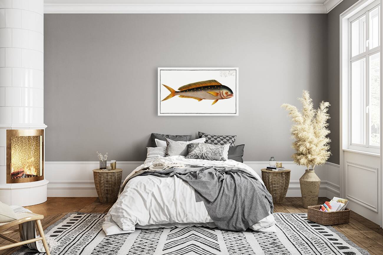 Dolfin Coryphaena Hippurus Reproduction