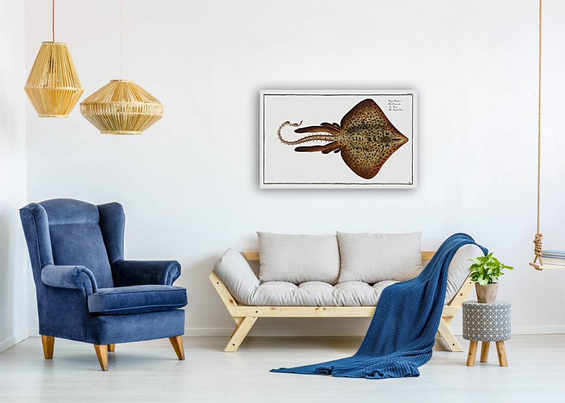 Rough Ray Raja Rubus Reproduction