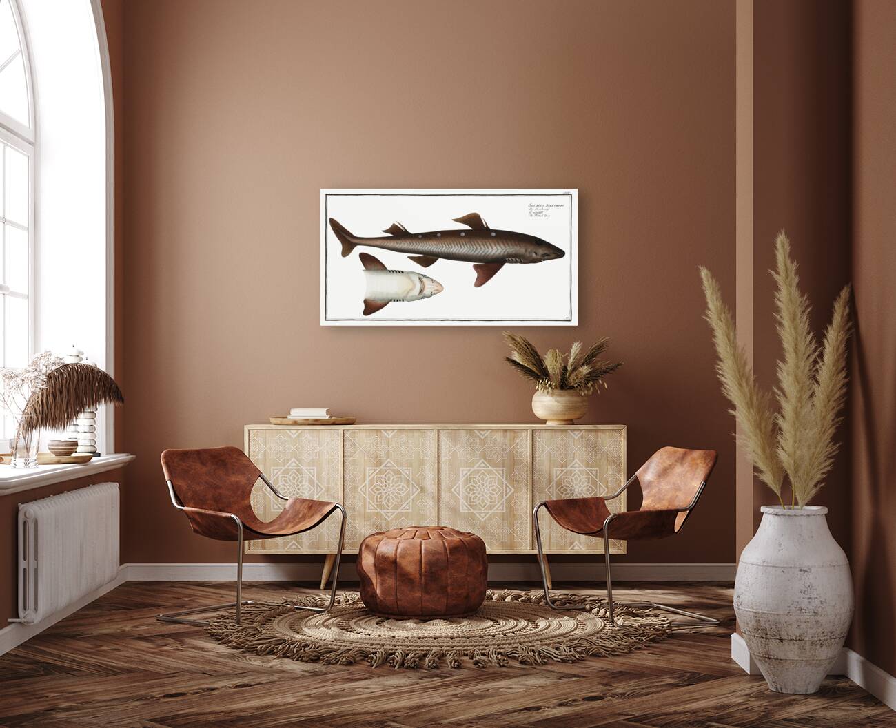 Picked- Dog Squalus Acanthias Reproduction