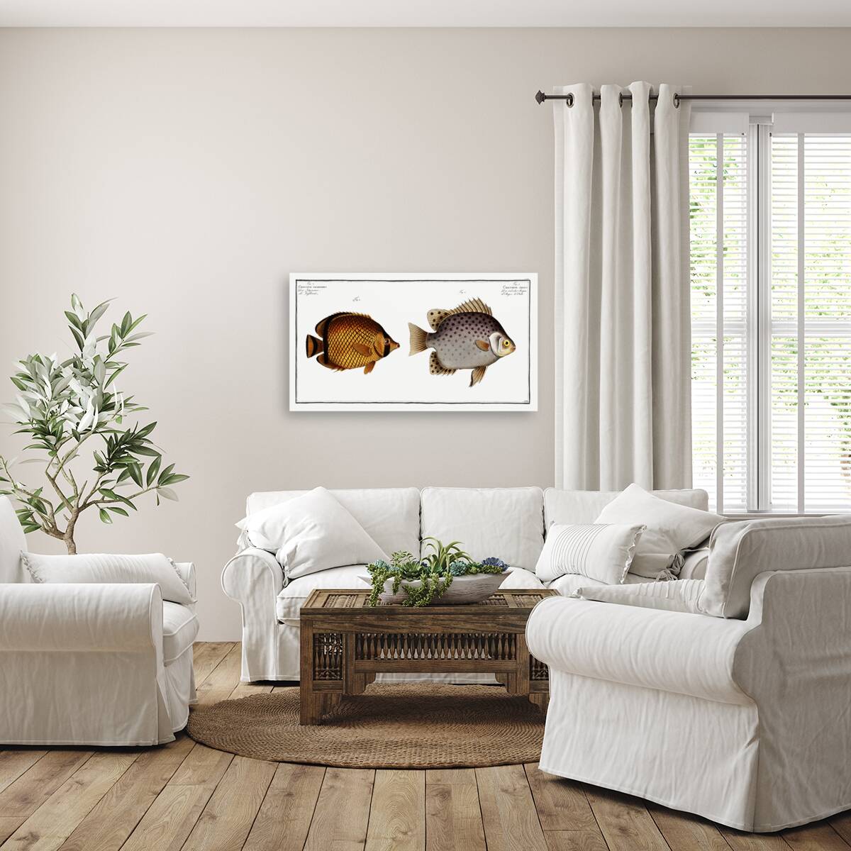 1. Chaetodon Argus 2. Chaetodon vagabundus Reproduction