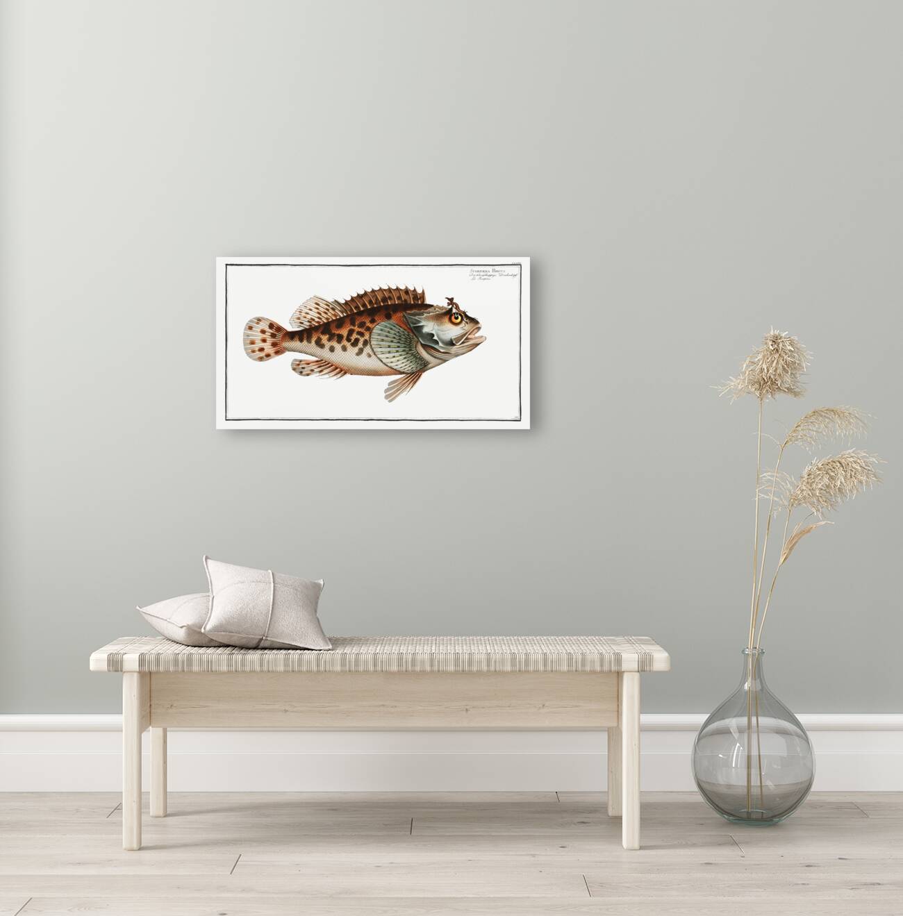 Scorpaena Porcus Reproduction