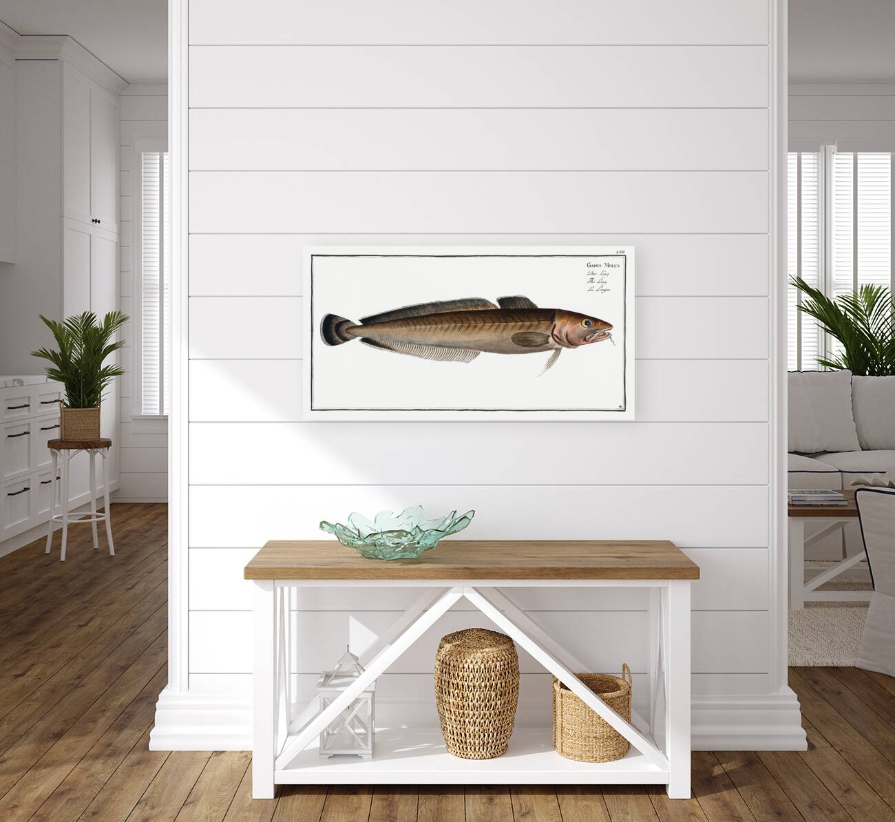 Ling Gadus Molva Reproduction