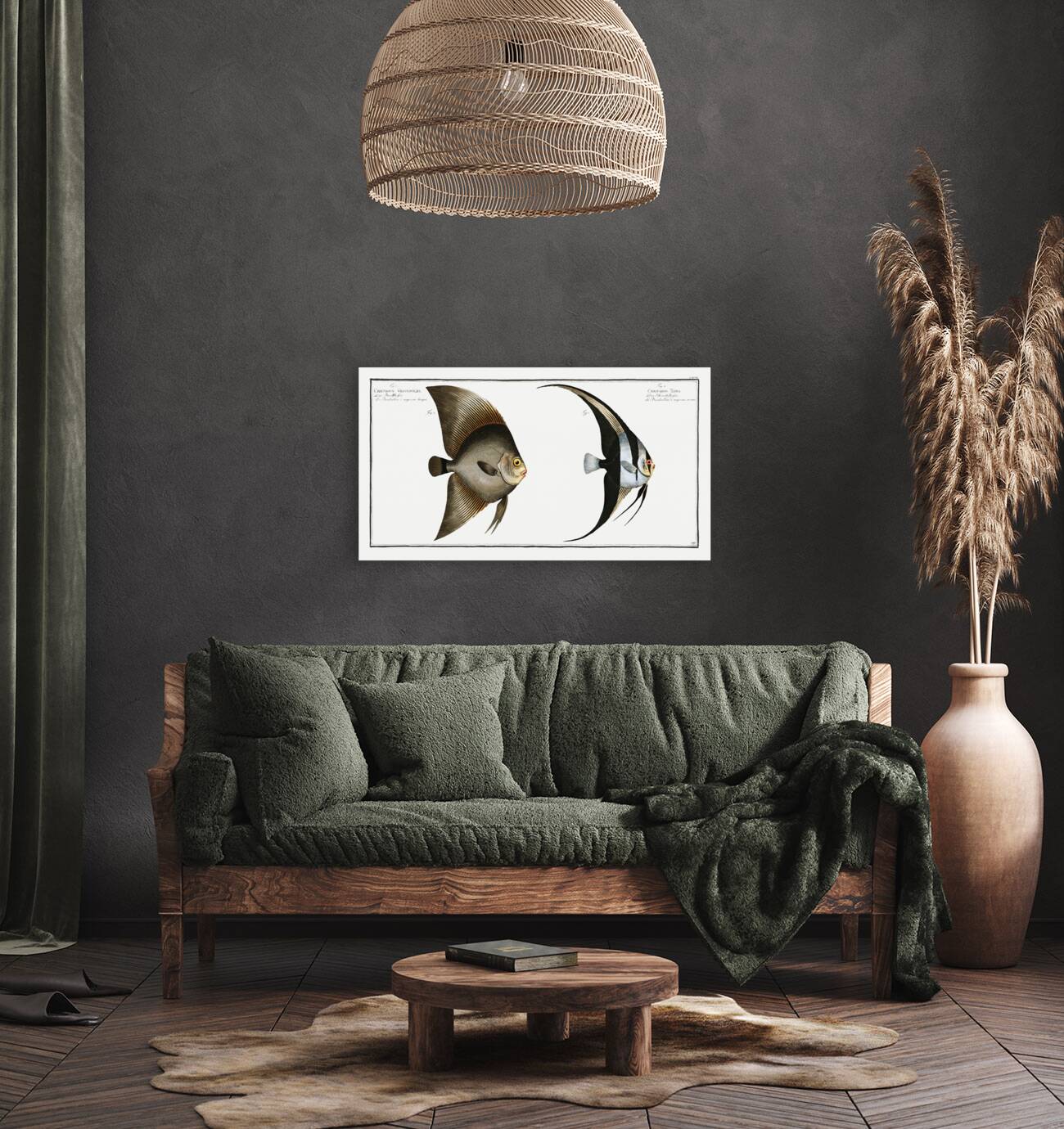 1. Chaetodon Teira 2. Chaetodon Vespertilio Reproduction