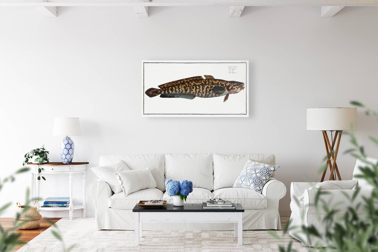 Burbot Gadus Lota Reproduction