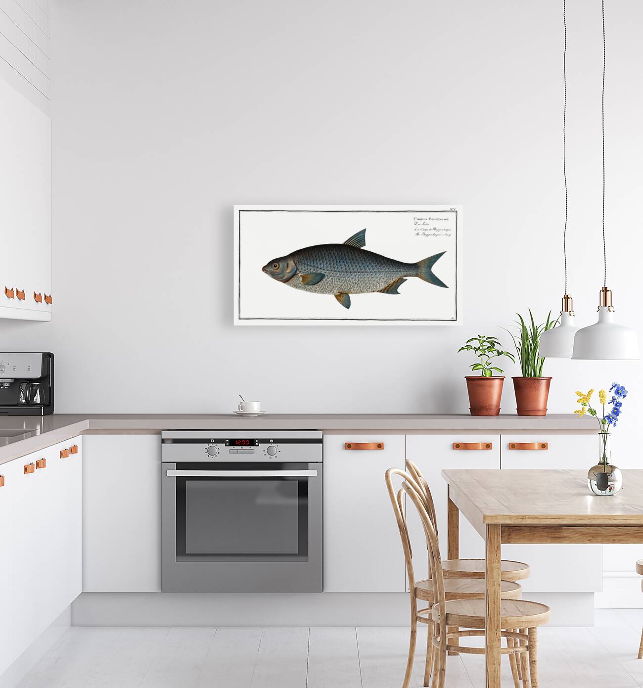 Buggenhagens-Carp Cyprinus Buggenhagii Reproduction