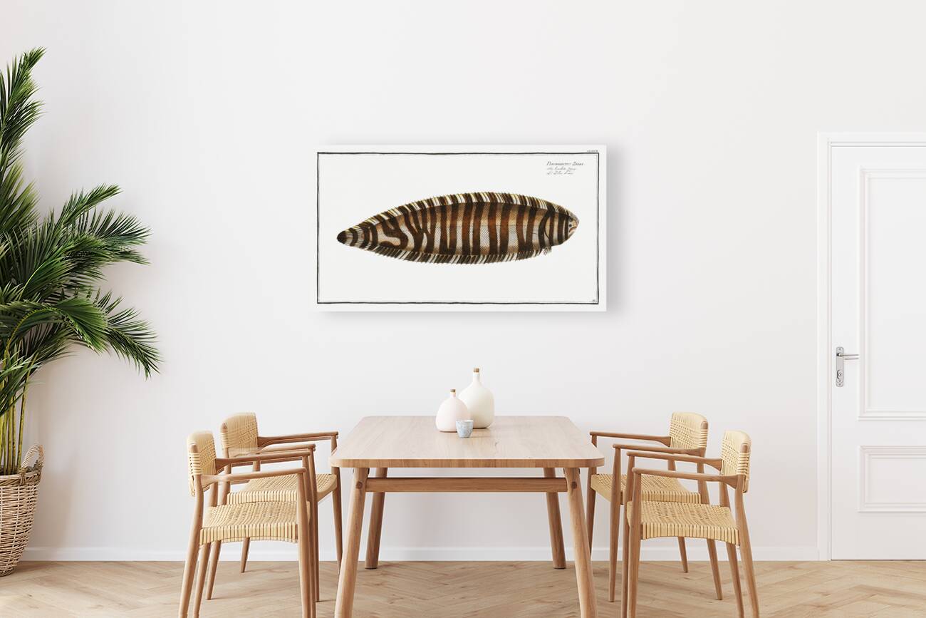 Pleuronectes Zebra Reproduction