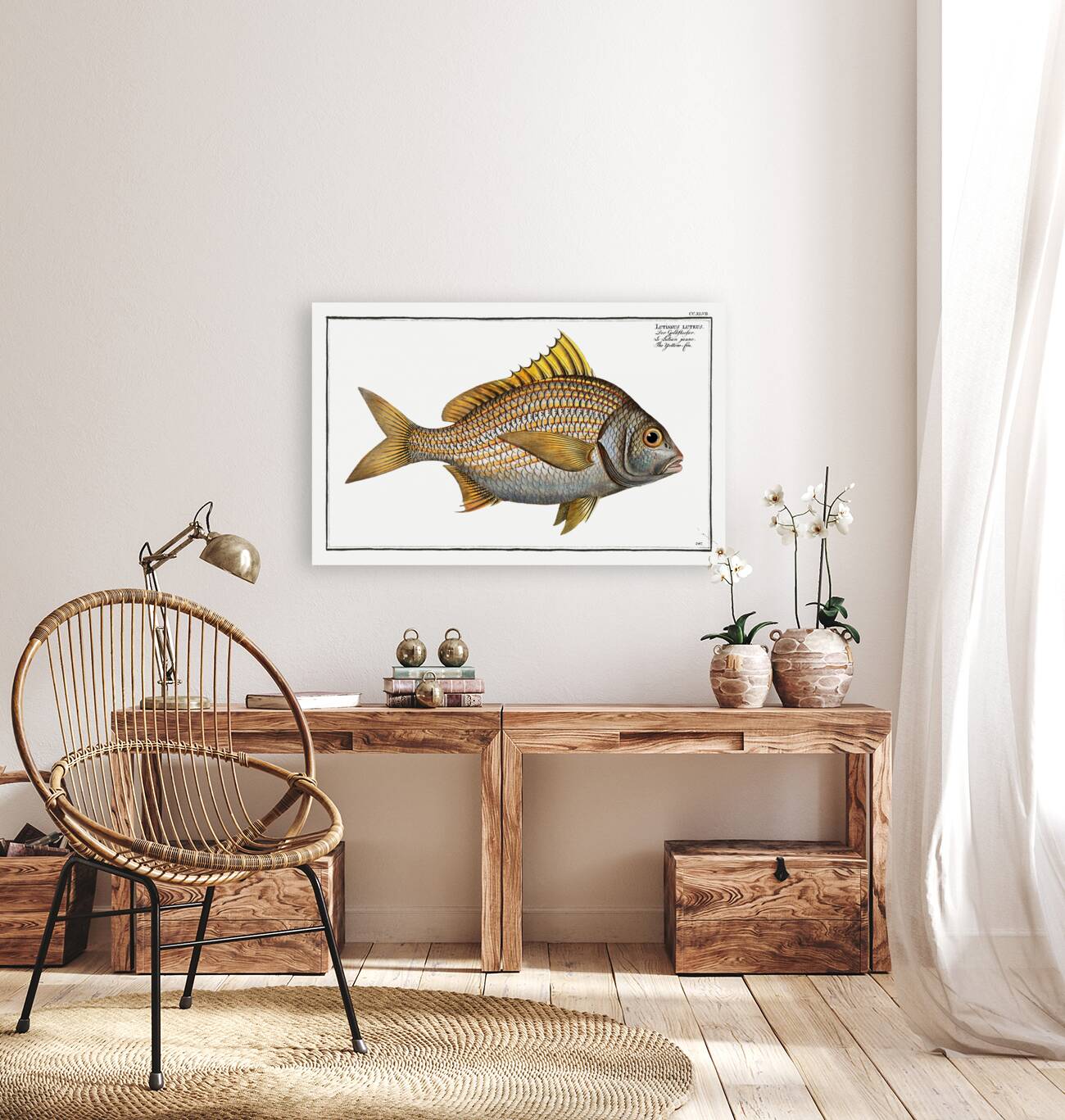 Yellow-fin Lutianus luteus Reproduction