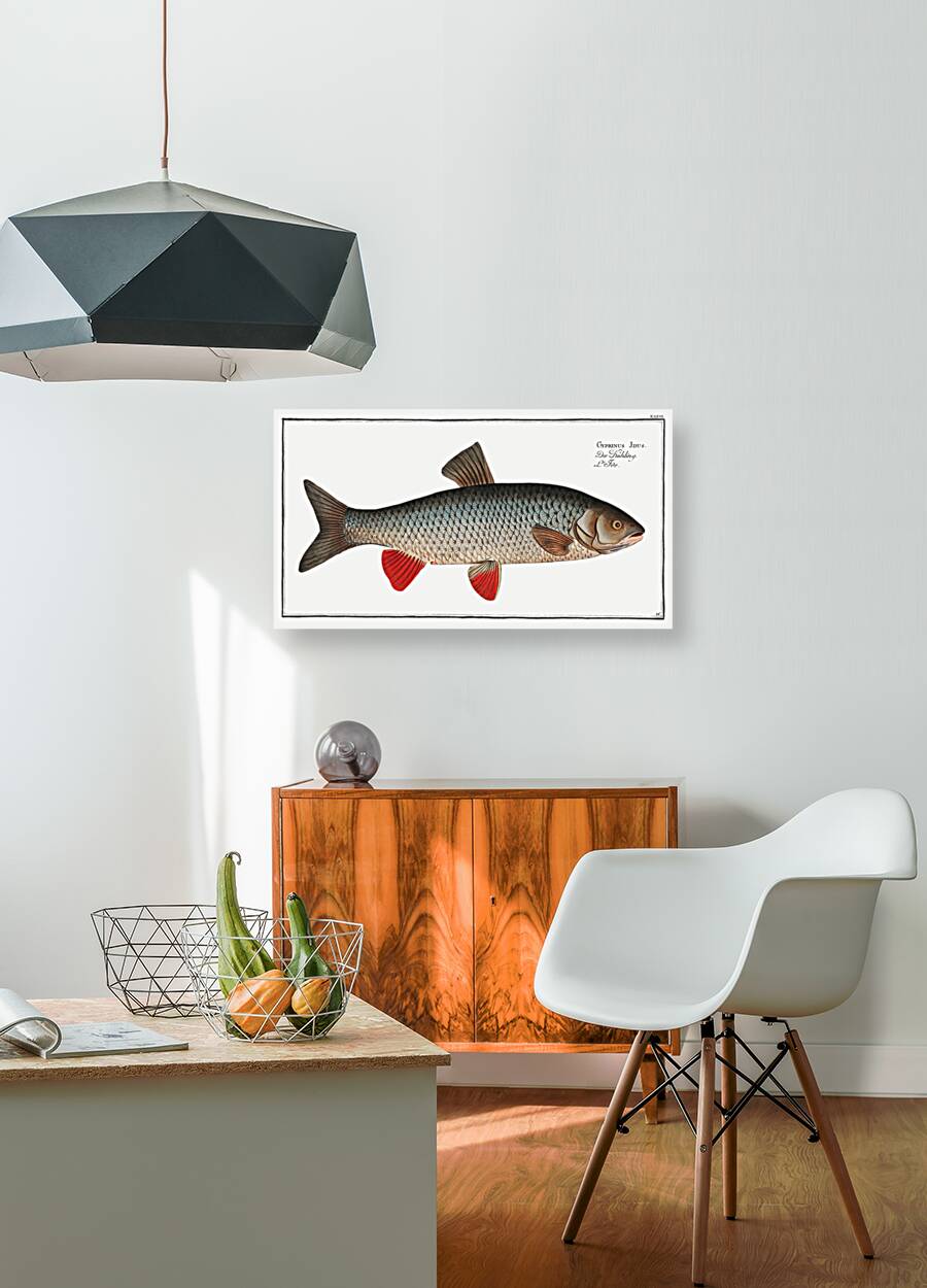 Idus-Carp Cyprinus Idus Reproduction