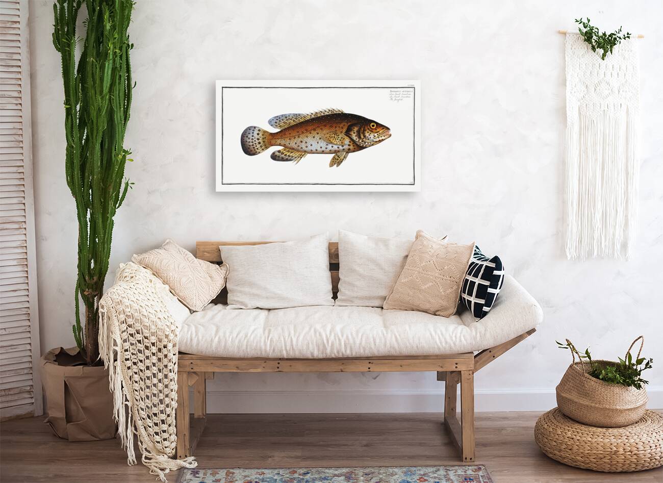 Jen-fish Bodianus guttatus Reproduction