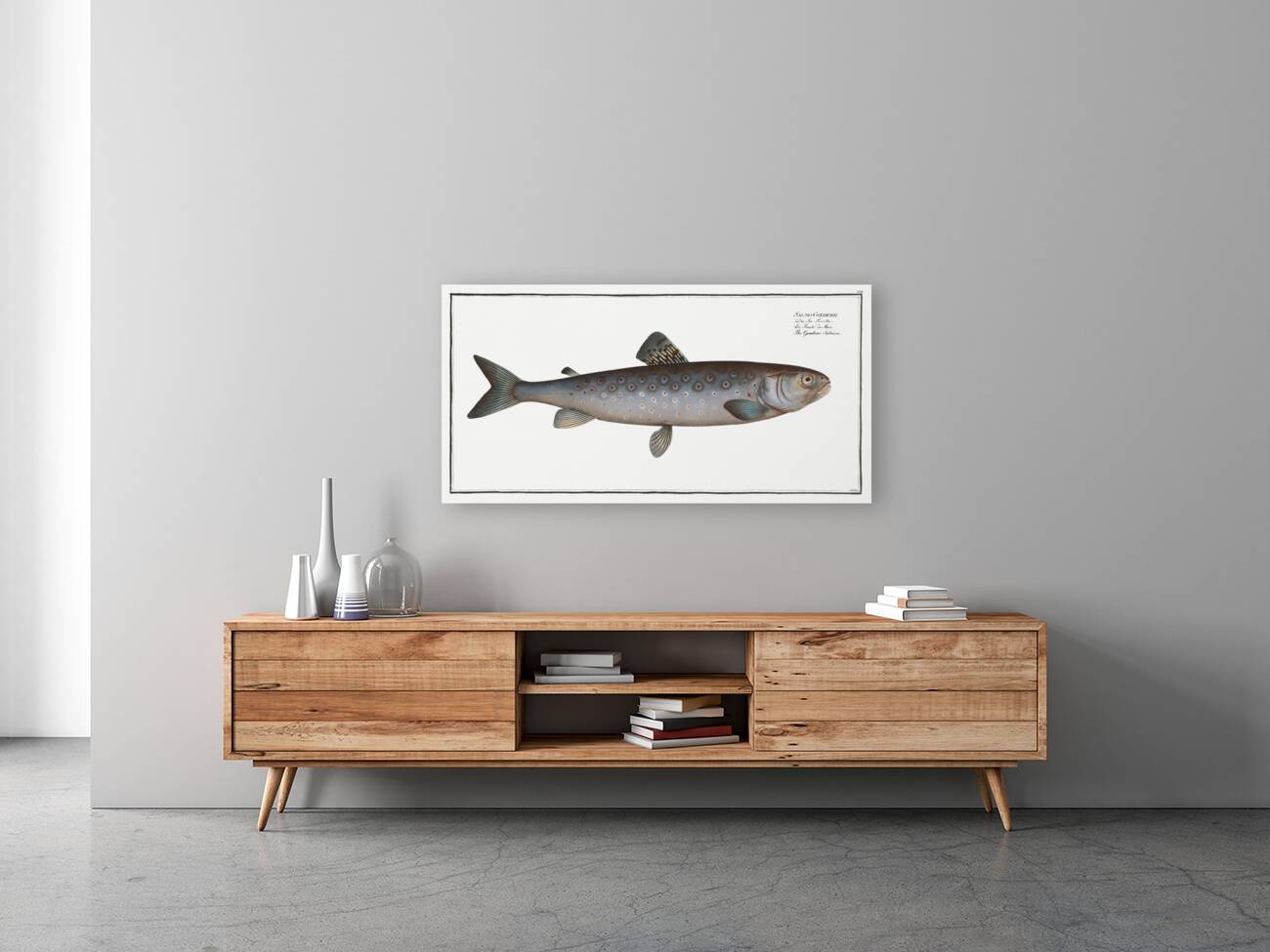 Goedens Salmon Salmo Goedenii Reproduction