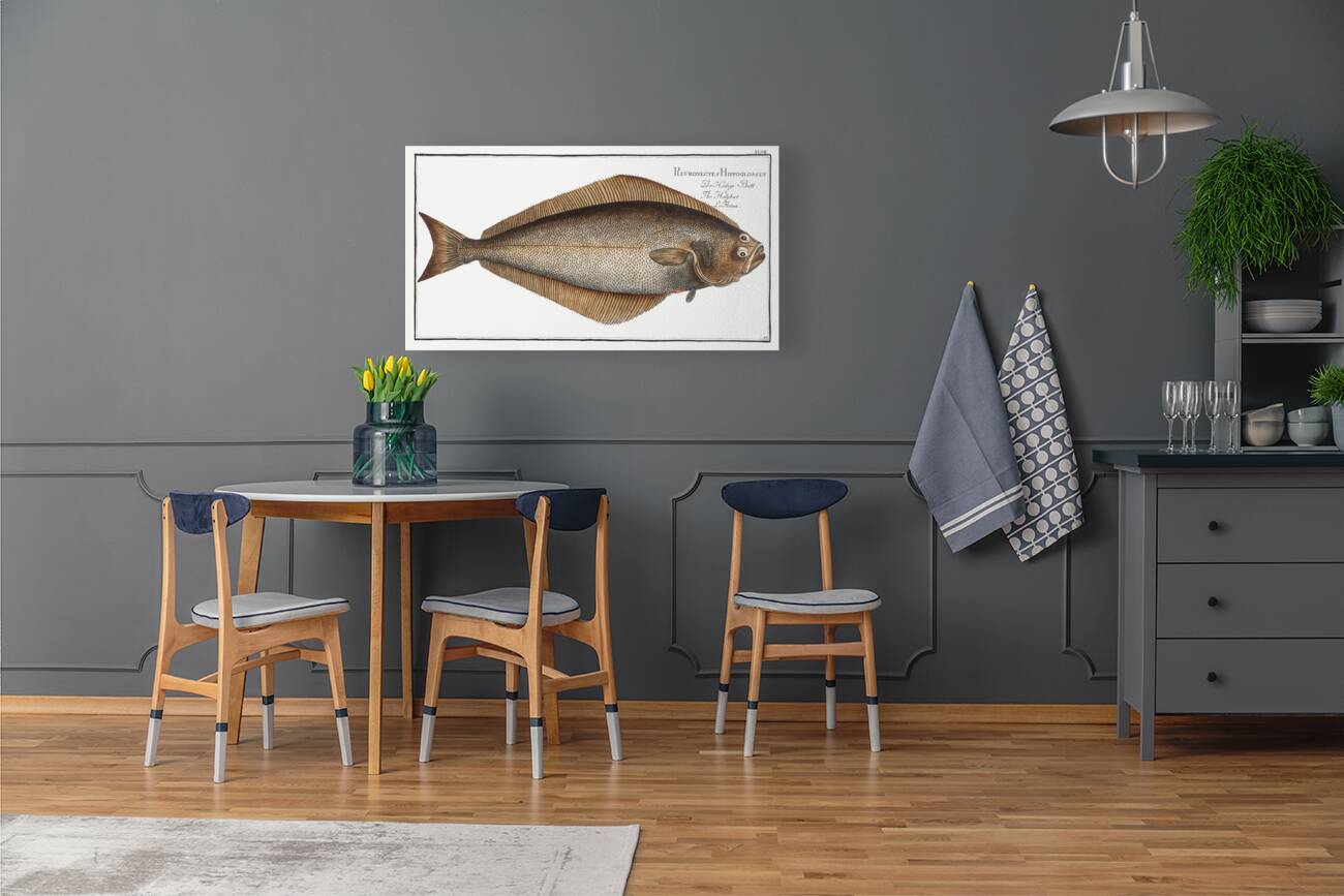 Holybut Pleuronectes Hippoglossus Reproduction