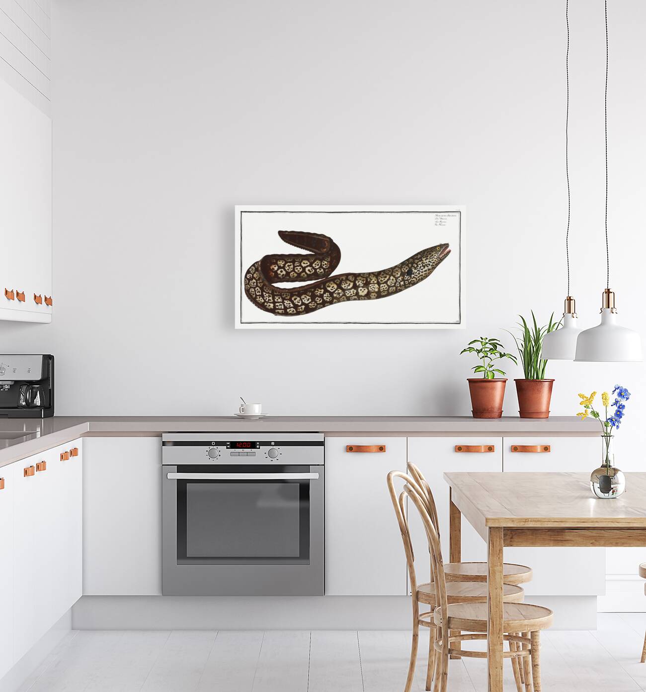 Murane Muraena Helena Reproduction