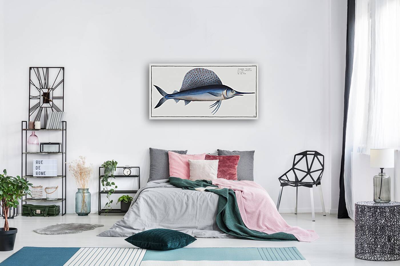 Ola-Fish Scomber Gladius Reproduction