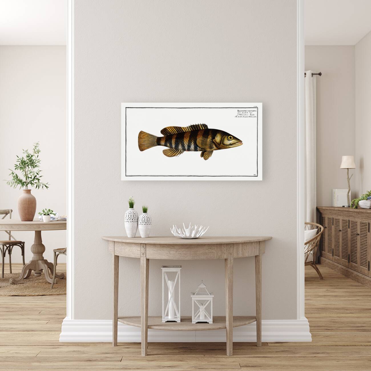 Double-streaked Holocentre Holocentrus fasciatus Reproduction