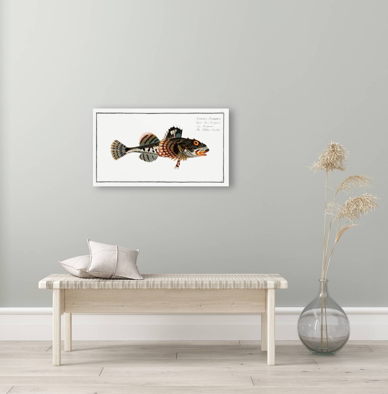 Father Lascher Cottus Scorpius Reproduction