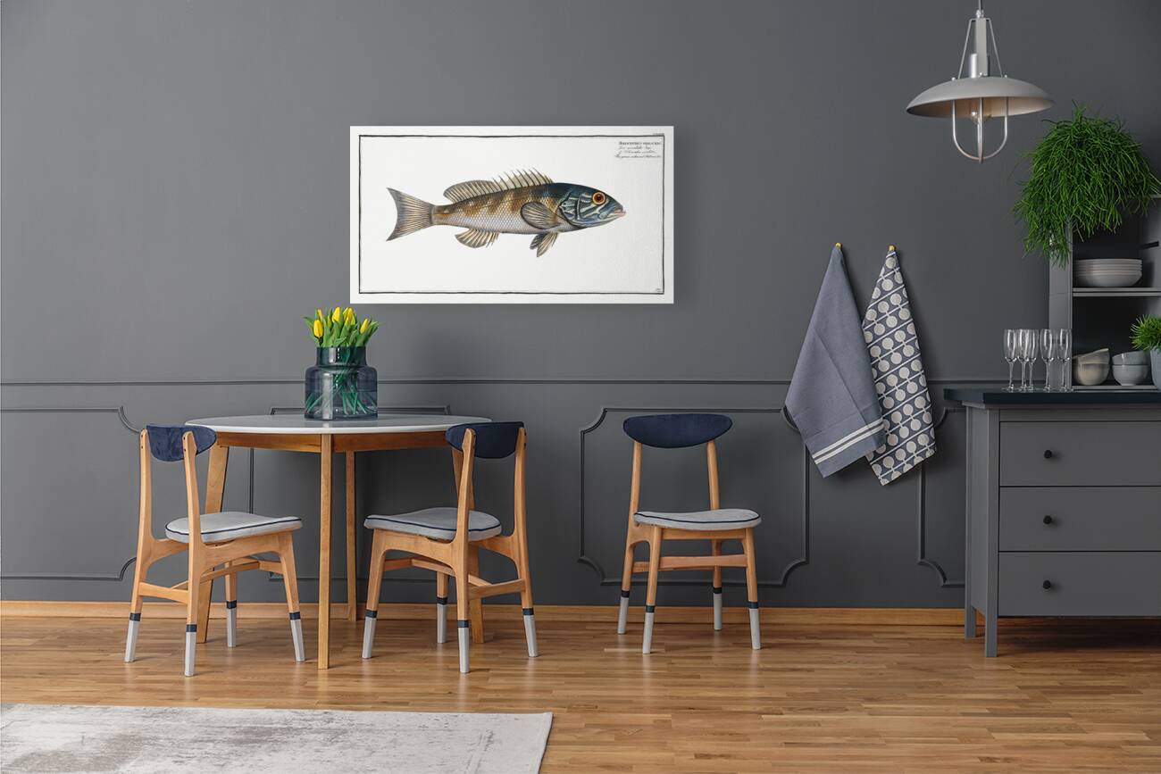 Green coloured Holocentre Holocentrus verescens Reproduction