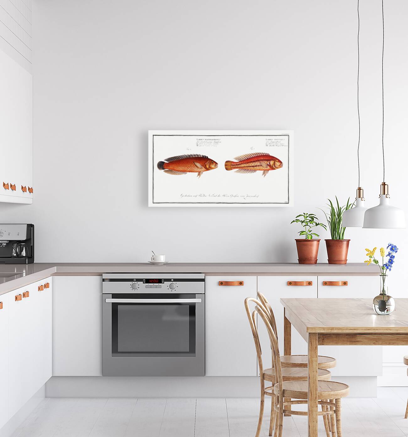 1. Double-Striped Wrasse Labrus bivittatus 2. Great-Scaled Wrasse Labrus macrolepidotus Reproduction