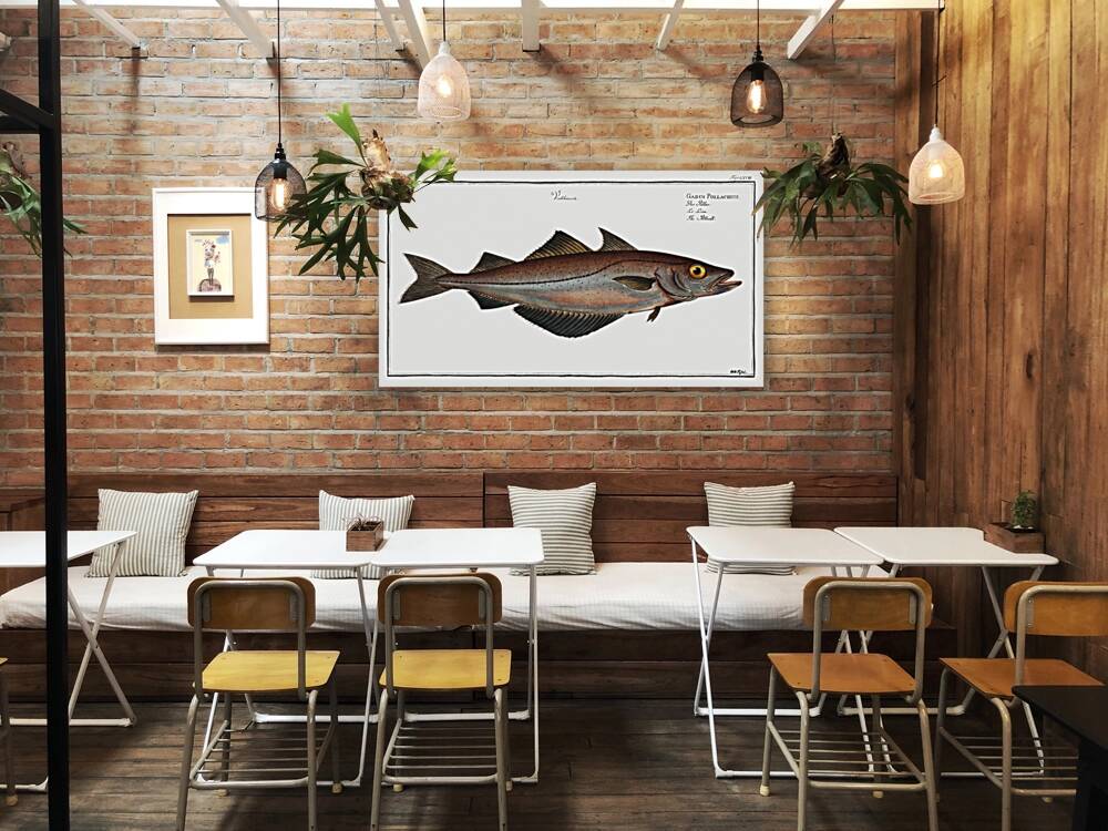 Pollack Gadus Pollachius Reproduction