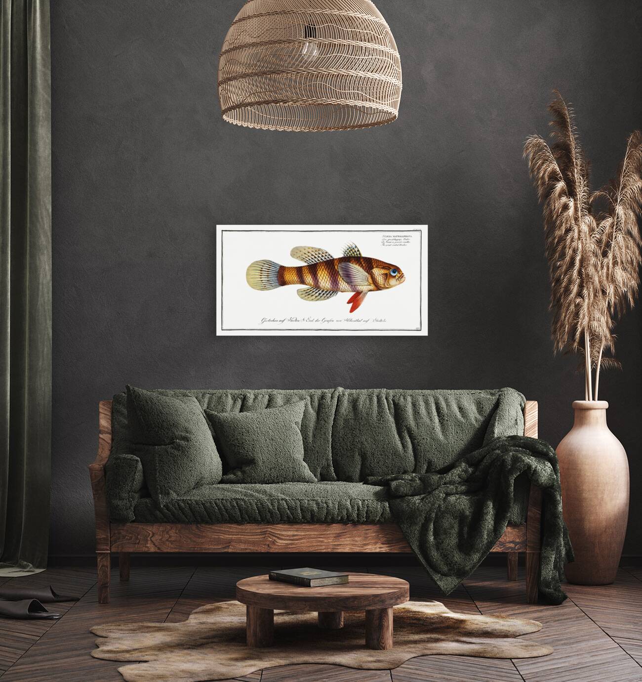 Great-scaled Umber Sciaena macrollpidota Reproduction