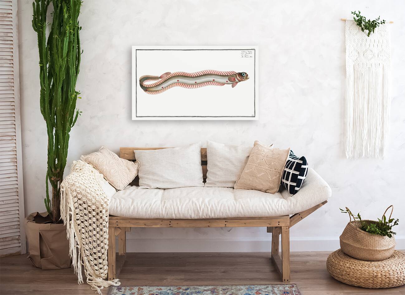 Band-Fish Cepola Tænia Reproduction