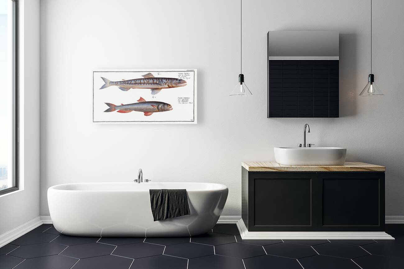 1. Sea-Lizard Salmo Saurus 2. Sea-Sparrow-Hawk Salmo foetens Reproduction