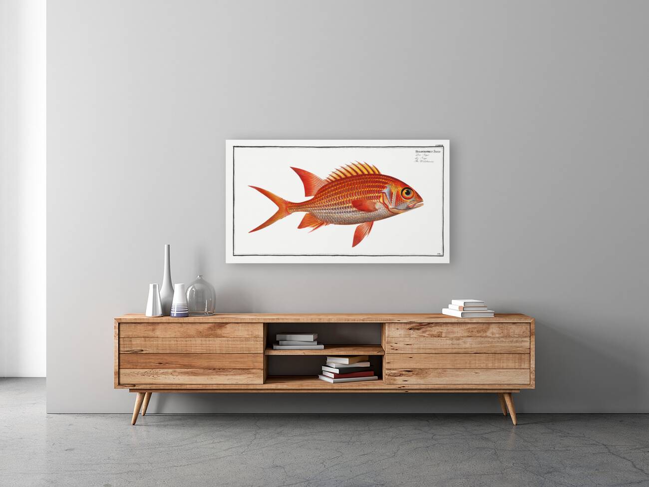 Welshman Holocentrus Sogo Reproduction