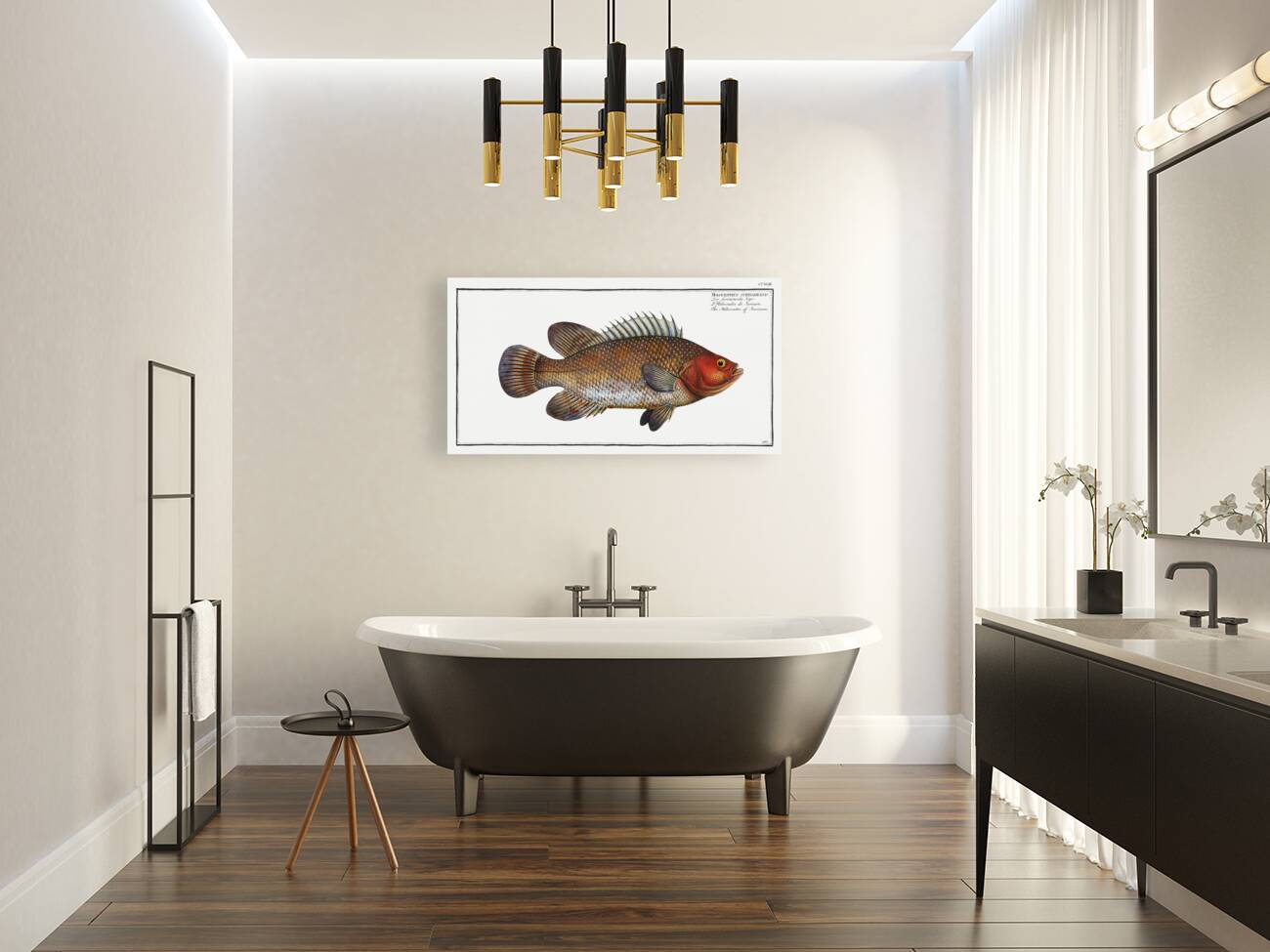 Holocentre of Surinam Holocentrus surinamensis Reproduction