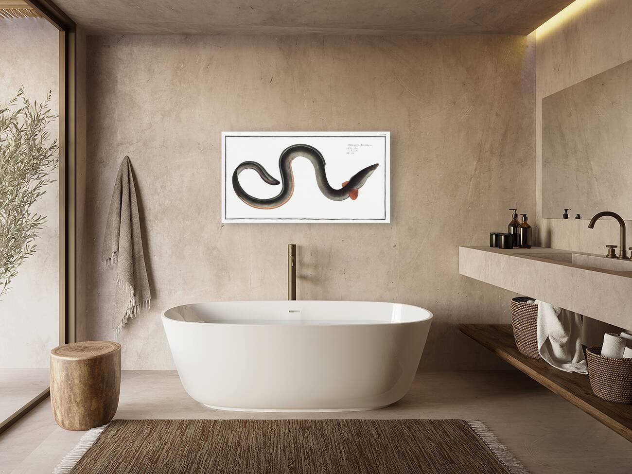 Eel Muraena Anguilla Reproduction