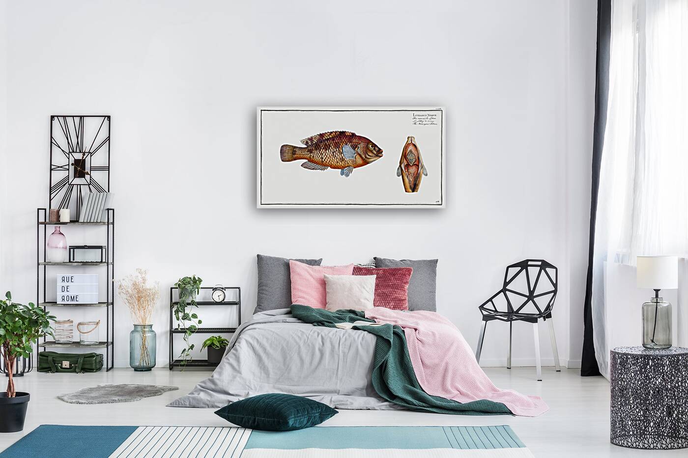 Norvegian Lutian Lutianus Norve Reproduction