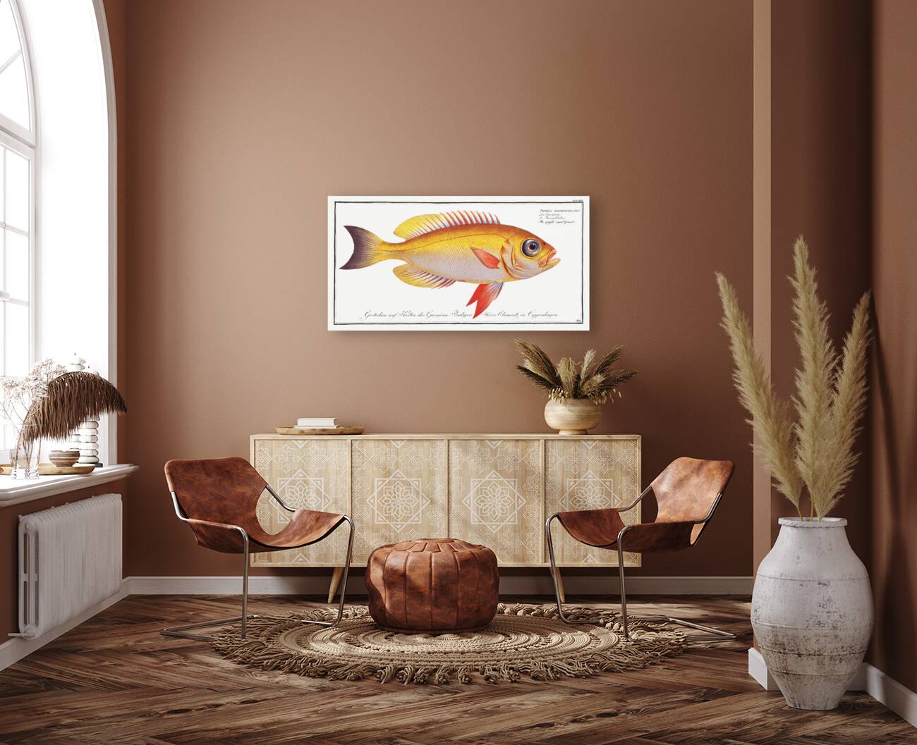 Goggle-eyed Grunt Anthias macrophthalmus Reproduction