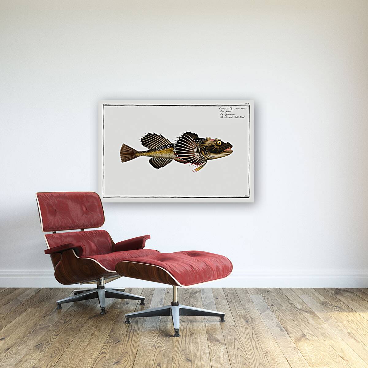 Horned Bull-Head Cottus Quadricornis Reproduction