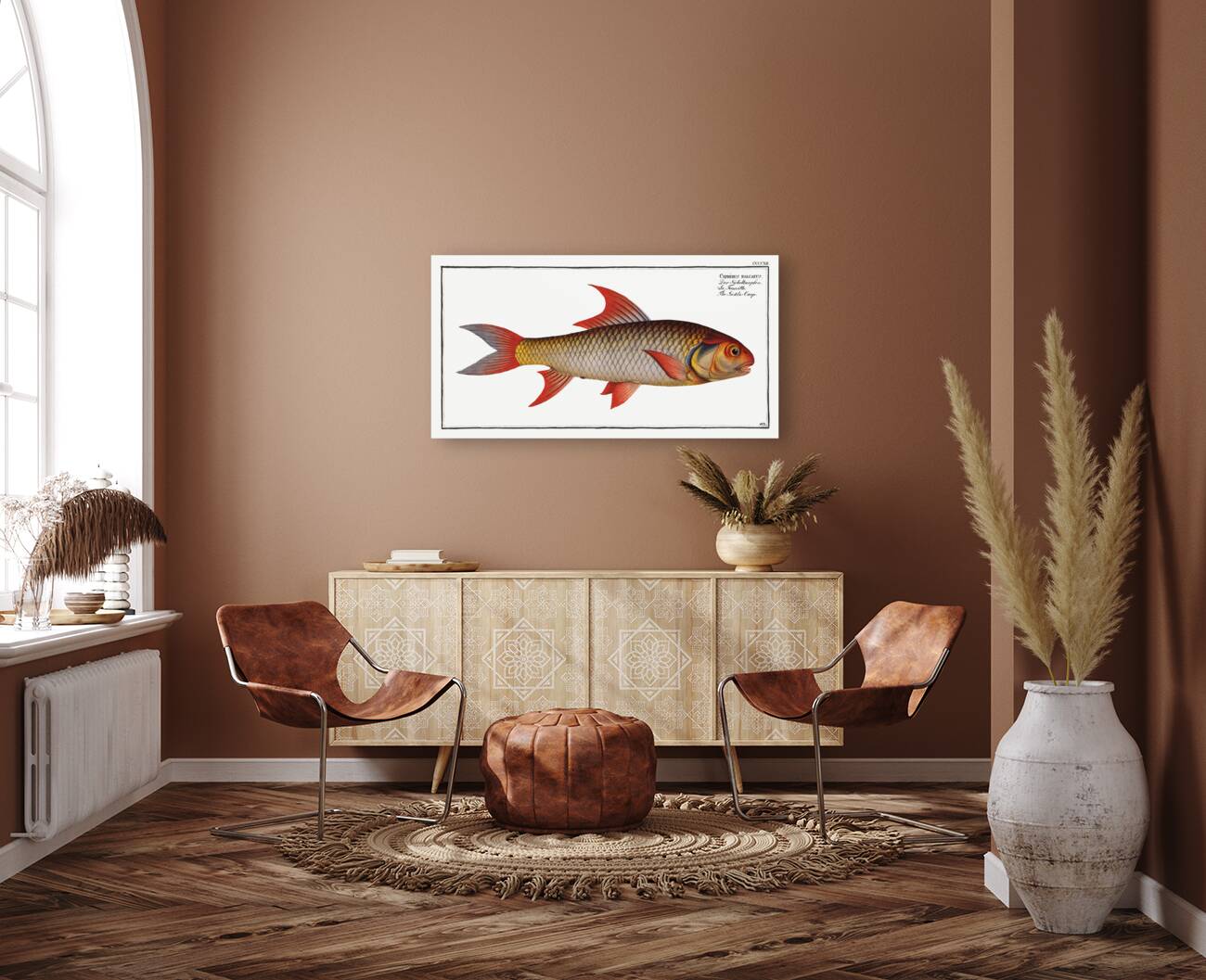 Sickle-Carp Cyprinus falcatus Reproduction