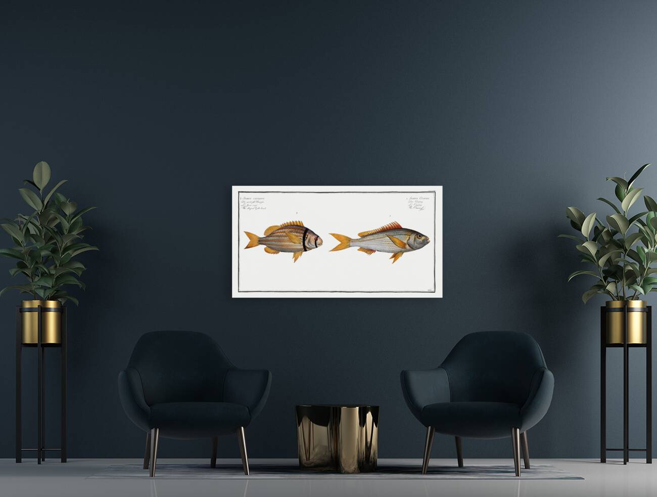 1. Cuning Sparus Cuning 2. Striped Gilt-head Sparus vittatus Reproduction