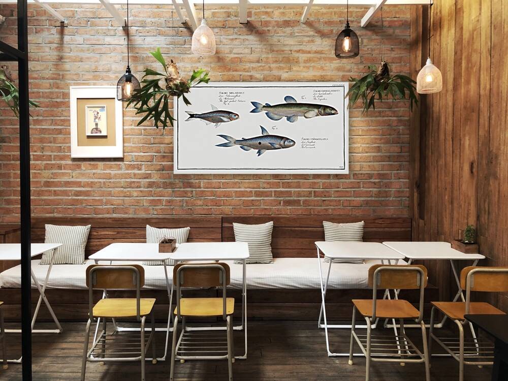 1. Capelan Salmo groenlandicus 2. Tail-spotted Salmon Salmo melanurus 3. Curimate Salmo unimaculatus Reproduction