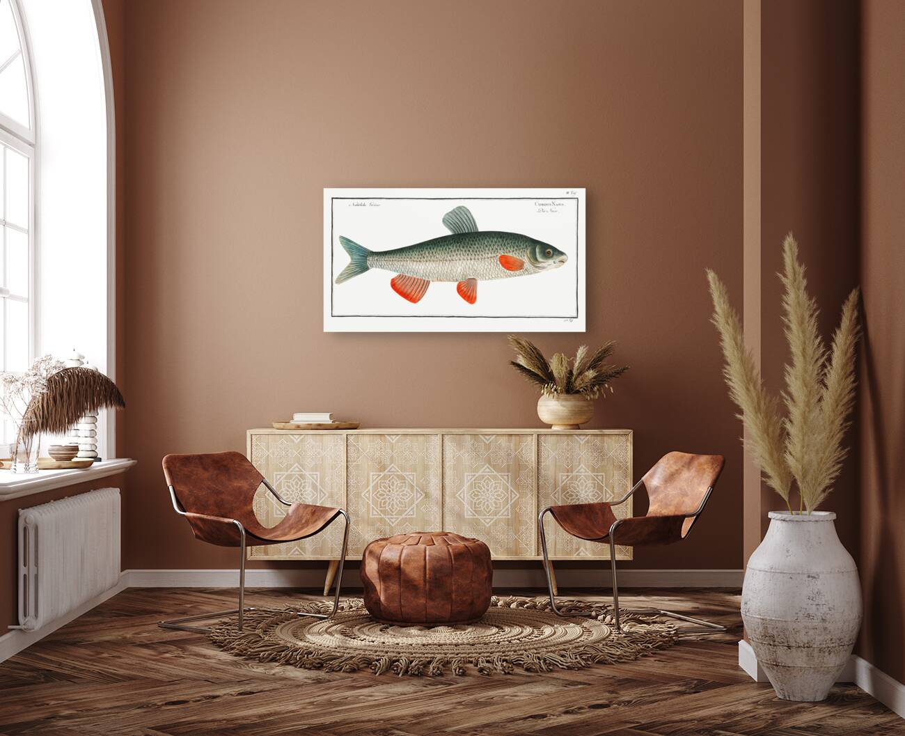 Nase-Carp Cyprinus Nasus Reproduction