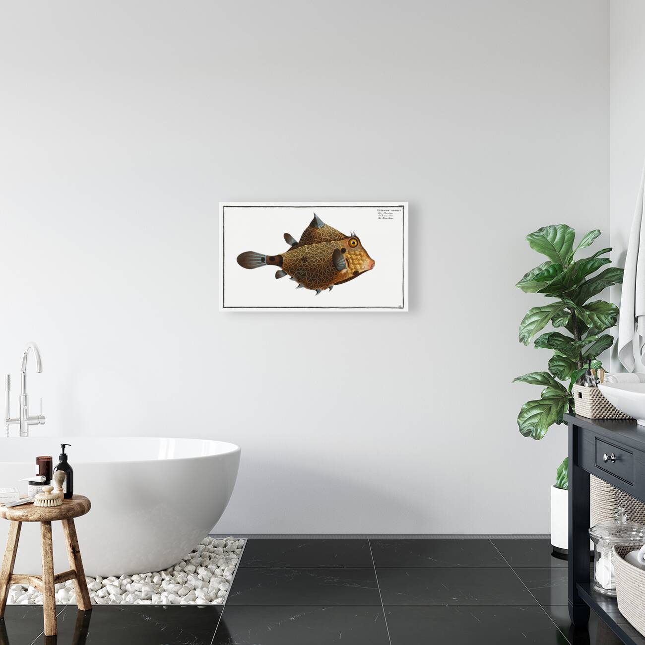 Turret-Porter Ostracion Turritus Reproduction