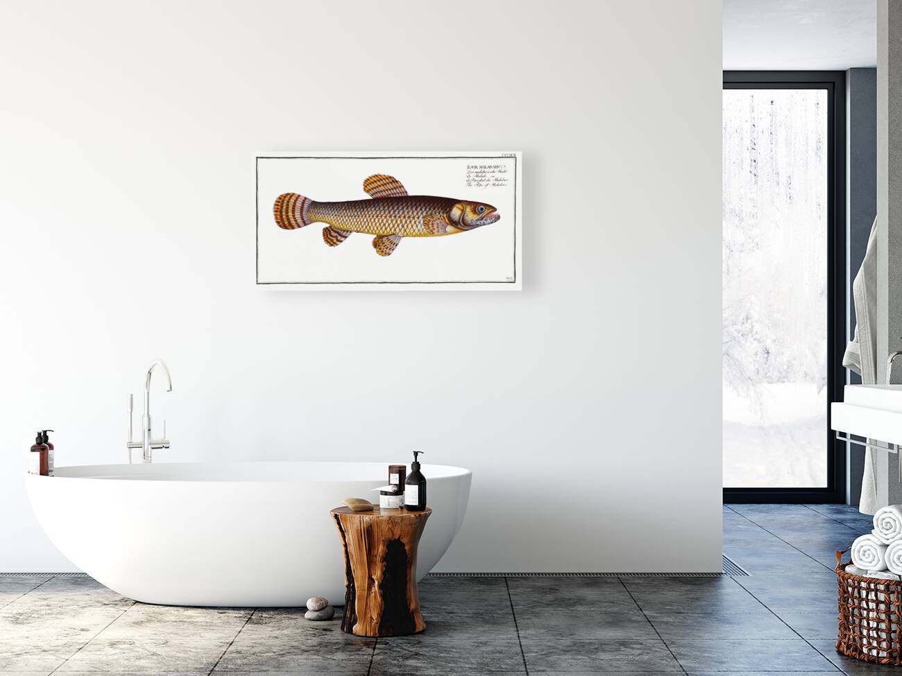 Pike of Malabar Esox malabaricus Reproduction