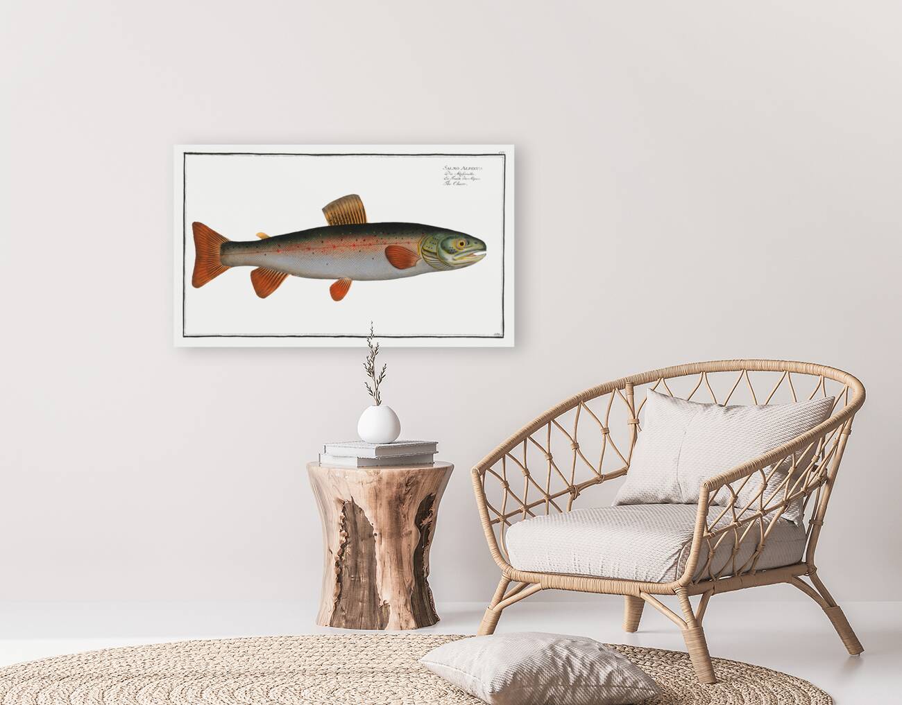 Charr Salmo Alpinus Reproduction